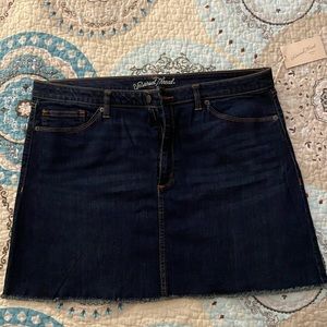 NWT denim skirt